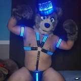 adalasterfox
