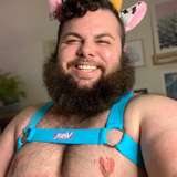 cupidcub