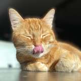 gingerpussybaby