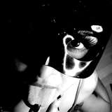 nina.bellerose86