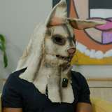 thedirtyrabbitsx