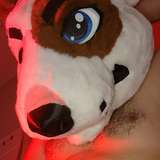 thebull_ad