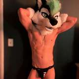 vozzaroo