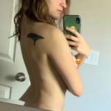 xlittlebearxfree