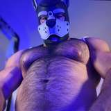 musclepupchamp