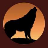 andoliniwolf