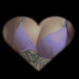 lavender_puppy