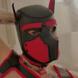 bj_horns