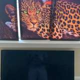cheetahprintking