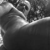 cristi_shd