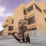 sinfulslothslut