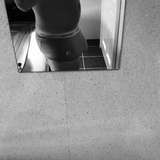 scottishspark11