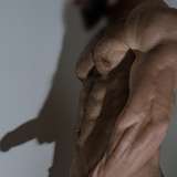 thefleshhandler