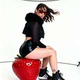 tscalifaunaunlimited